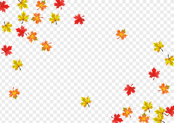 Yellow Leaves Background Transparent Vector. Leaf November Template. Orange Shape Floral. Down Plant Texture.