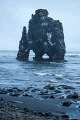 Basalt stack Hvitserkur in Iceland