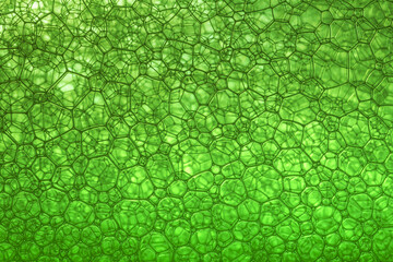 Light Green Background Closeup of Oil Drops in Water. Abstract Macro Photo of Liquid Surface with Bubbles. Bright Design of Structural Watery Texture. 
