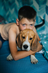 Teenage boy and dog lie on the bed and hug. Cute beagle puppy. Cozy scene, hygge concept. Lazy weekend concept