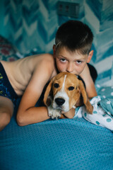 Teenage boy and dog chilling on the bed and hug. Cute beagle puppy. Lazy weekend concept. Cozy scene, hygge concept