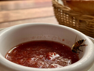 cup of chocolate