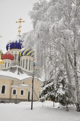 Obraz premium Peredelkino is a dacha settlement that does not have the status of a settlement, which is part of the village of DSK 