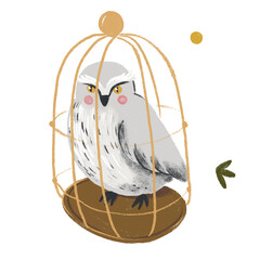 Cute owl on white isolated background. Vector illustration