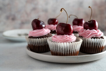 Cherry chocolate cupcakes with pink cream. Homemade baked treat or dessert