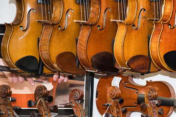 Violons