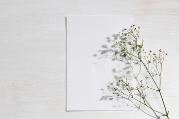 Blank paper business cards with mockup copy space on gypsophila on beige background. Minimal business template. Flatlay, top view.