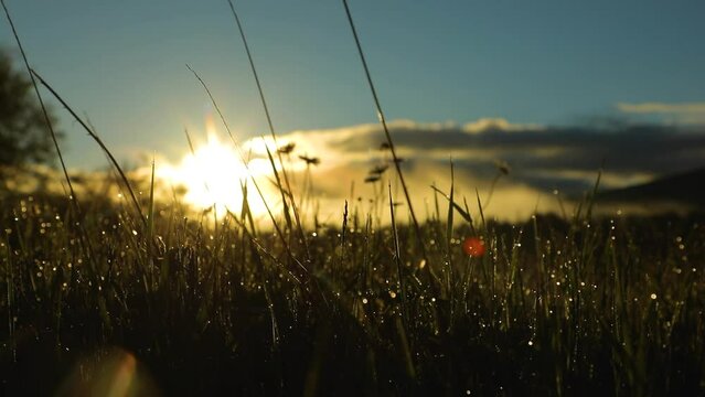 Beautiful Shaori Lake, fog, clouds, Racha