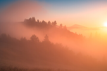 Early morning carpathian scene