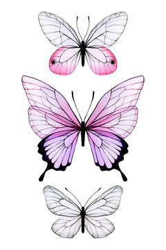 Watercolor Drawing. Set With Colored Transparent Butterflies. Beautiful Abstract Butterflies With Transparent Wings In Pink And Purple. Clipart