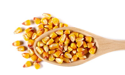 Corn grains, kernels in wooden spoon isolated on white,  top view