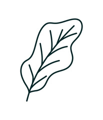 plant leaf icon