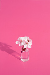 Miniature glass bottle with flowers on pink background. Spring or summer creative minimalistic concept