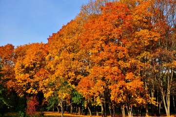 Nature - the material world of the universe, in essence - the main object of study of the natural sciences. In everyday life, the word "nature" is often used in the sense of a natural habitat.