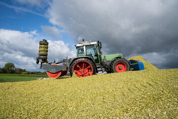 Moderne Landtechnik verschiebt und verdichtet die Maissilage zu einen großen Haufen.