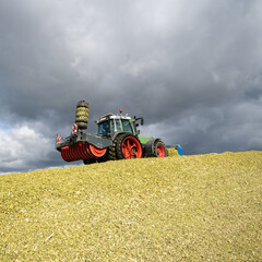 Moderne Landtechnik verschiebt und verdichtet die Maissilage zu einen großen Haufen.