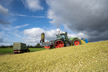 Fototapeta premium Moderne Landtechnik verschiebt und verdichtet die Maissilage zu einen großen Haufen.