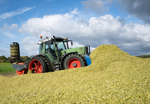 Moderne Landtechnik verschiebt und verdichtet die Maissilage zu einen großen Haufen.