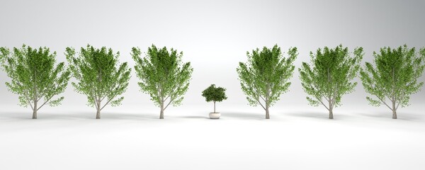 3D illustration of row of trees  with a plant in flowerpot in the middle
