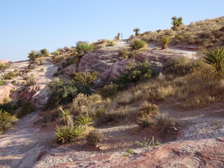 Obraz premium Red Rock Canyon National Conservation Area Las Vegas Nevada