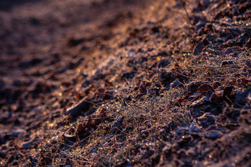 texture of a stone