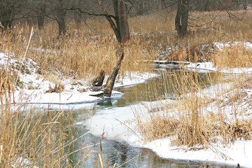river in winter	