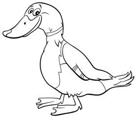 cartoon wild duck bird animal character coloring book page
