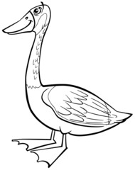 cartoon wild goose bird animal character coloring book page