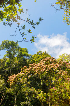 Summer Sky In El Valle De Antón