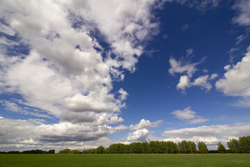 Panoramic photo of the sky over a large green summer field against the backdrop of a green forest.