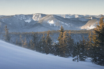 Ski slope in winter during the winter sunset from Mount Hood National Forest in Oregon