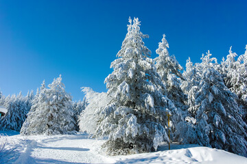 Winter view of Vitosha Mountain, Bulgaria
