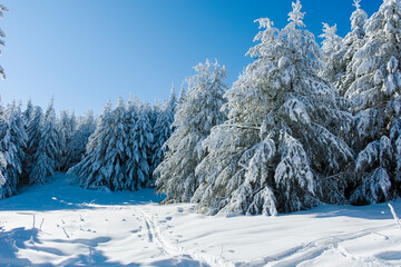 Winter view of Vitosha Mountain, Bulgaria