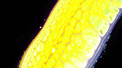 Bright colorful abstractions