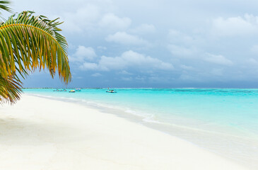 Obraz na płótnie Canvas Palm trees on a tropical beach