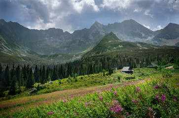 View of Gąsienicowa Valley with several mountain huts and peaks of the High Tatras in the background, Tatra Mountains, Poland