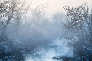 zimowy pejzaż z mgłą o poranku wśród lasów i wody