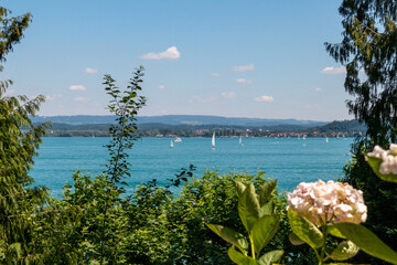 View of Lake Constance. Framed by trees