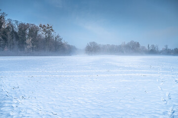 zamieć śnieżna lub zimowy pejzaż z mgłą o poranku wśród lasów i wody