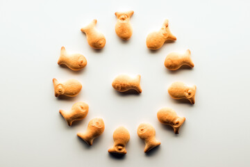 Fish shaped cookie. One fish in a circle of other fishes