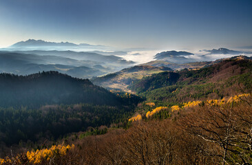 Mount Three Crowns (Trzy Korony) and the Tatra Mountains over a sea of clouds, seen from Mount Wysoka in the Pieniny National Park, Poland © Terefere