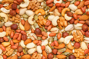 Background from different types of nuts and seeds - peeled walnut, hazelnuts, peeled peanut, pine nut kernels, almond seeds, cashew seeds, pistachio nuts in the shell, pumpkin seeds