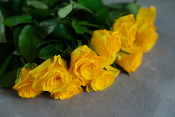 Bouquet of yellow roses on a gray background.