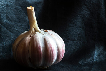 Garlic Cloves and Bulb on dark background in Brazil. Copy space.