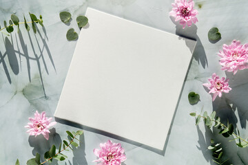 Springtime mockup with blank square canvas and Spring decorations. Pink chrysantemum flowers,...
