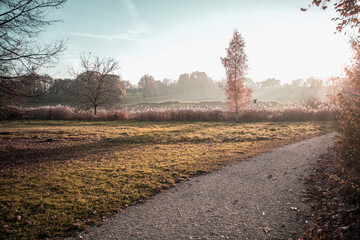 Chambesy, campagne de Tournay en automne