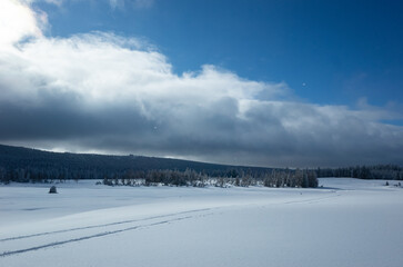 Winter landscape in Poland.