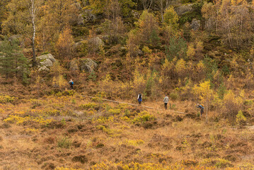 Four people walking on a path through the forest.