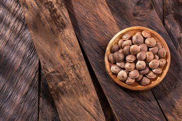 Dried sacha inchi nuts in the bowl - Plukenetia volubilis