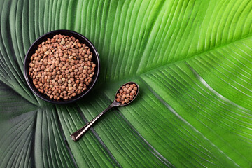 Lens culinaris - Organic raw lentils in the bowl